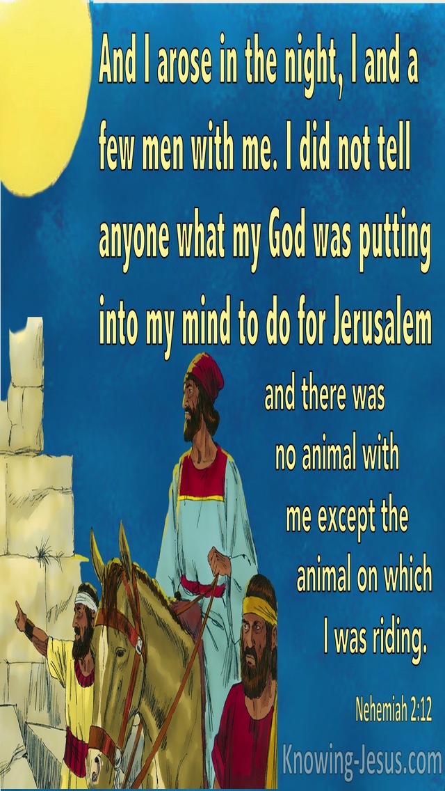 Nehemiah 2:12 I Arose In The Night, I And A Few Men With Me (aqua)